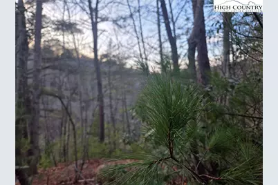 Lot94/95 Roaring Ridge Road, Deep Gap, NC 28618 - Photo 3