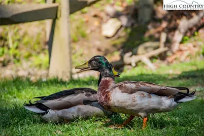 Lot94/95 Roaring Ridge Road, Deep Gap, NC 28618 - Photo 5