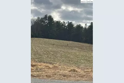 Lot 3A Silvia Lane, Piney Creek, NC 28663 - Photo 5