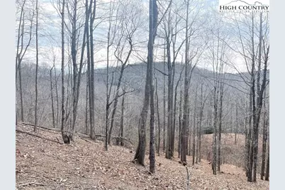 19 Jackson Ridge Road, Boone, NC 28607 - Photo 3