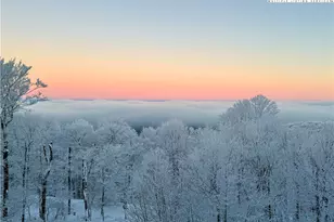 127 Raven Rd, Beech Mountain, NC 28604 - Photo 3