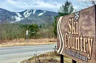 76 Creekside Dr, Banner Elk, NC 28604 - Photo 23