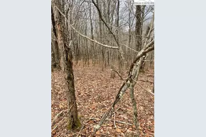 Tbd Old Mountain Road, Banner Elk, NC 28604 - Photo 9