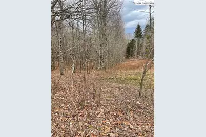 Tbd Old Mountain Road, Banner Elk, NC 28604 - Photo 1