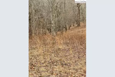 Tbd Old Mountain Road, Banner Elk, NC 28604 - Photo 7