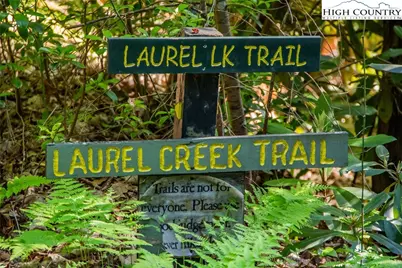 Lot 105 Roaring Ridge Road, Deep Gap, NC 28618 - Photo 15