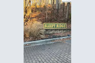 157 Wolf Trail, McGrady, NC 28649 - Photo 23