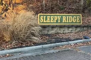 157 Wolf Trail, McGrady, NC 28649 - Photo 23