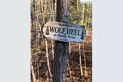 157 Wolf Trail, McGrady, NC 28649 - Photo 25