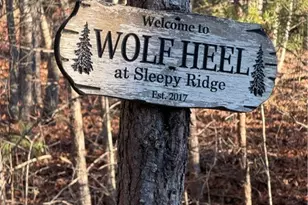 157 Wolf Trail, McGrady, NC 28649 - Photo 25