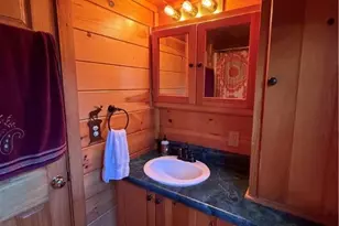 157 Wolf Trail, McGrady, NC 28649 - Photo 7