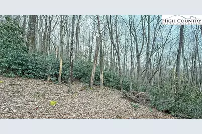 Tbd Lot 61 Wildcat Wilderness Parkway, Deep Gap, NC 28618 - Photo 7