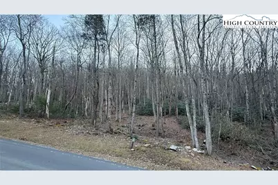 Tbd Lot 61 Wildcat Wilderness Parkway, Deep Gap, NC 28618 - Photo 5