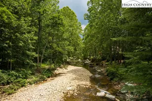 509 Twin Rivers Dr, Boone, NC 28607 - Photo 29