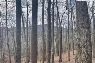 3 Jackson Ridge Rd, Boone, NC 28607 - Photo 1