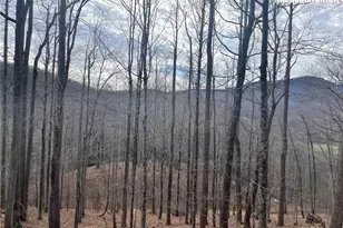 1 Jackson Ridge Rd, Boone, NC 28607 - Photo 1