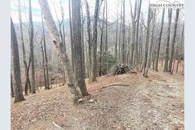 14 Jackson Ridge Road, Boone, NC 28607 - Photo 3