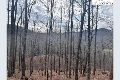 13 Jackson Ridge Road, Boone, NC 28607 - Photo 3