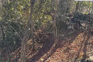 Tbd Squirrel Creek Rd, Newland, NC 28657 - Photo 17