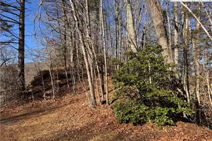 Tbd Squirrel Creek Rd, Newland, NC 28657 - Photo 7