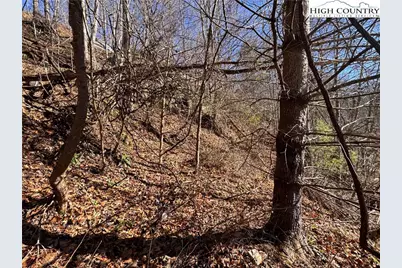 Tbd Squirrel Creek Road, Newland, NC 28657 - Photo 9