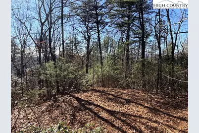 Lot 27 Bobcat Mountain Road, Purlear, NC 28665 - Photo 7