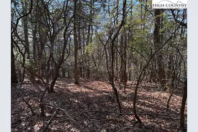 Lot 27 Bobcat Mountain Road, Purlear, NC 28665 - Photo 11
