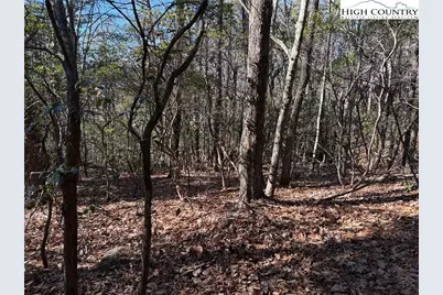 Lot 27 Bobcat Mountain Road, Purlear, NC 28665 - Photo 13