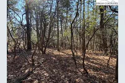 Lot 27 Bobcat Mountain Road, Purlear, NC 28665 - Photo 9