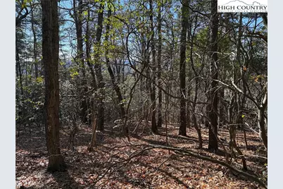 Lot 27 Bobcat Mountain Road, Purlear, NC 28665 - Photo 13