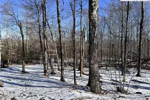 102 Northridge Rd, Beech Mountain, NC 28604 - Photo 1