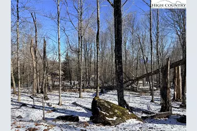 102 Northridge Road, Beech Mountain, NC 28604 - Photo 3