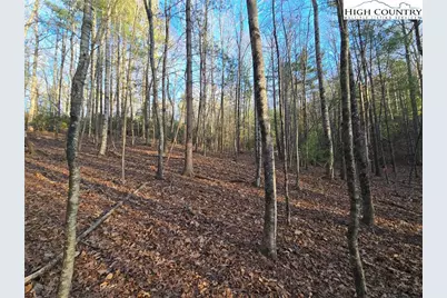 Tbd Peck Peak Rd, Jefferson, NC 28640 - Photo 5