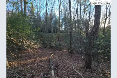 Tbd Peck Peak Rd, Jefferson, NC 28640 - Photo 3