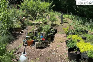 111 Peace Hill Rd, Fleetwood, NC 28626 - Photo 35