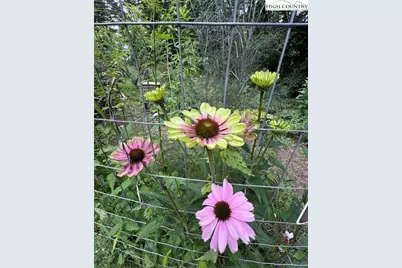 111 Peace Hill Road, Fleetwood, NC 28626 - Photo 47