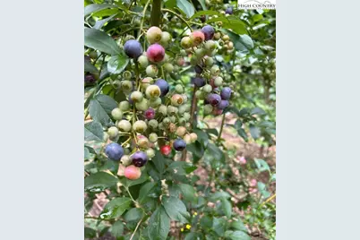 111 Peace Hill Road, Fleetwood, NC 28626 - Photo 43