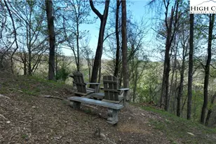 468 E Horse Shoe Ridge Rd, Deep Gap, NC 28618 - Photo 1