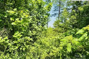 2 66 Acres High Valley Way, Lenoir, NC 28645 - Photo 1