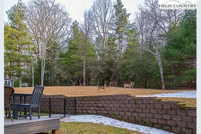 148 Buchanan Street, Roaring Gap, NC 28668 - Photo 23