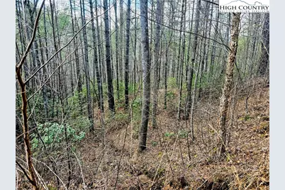 Lot 64 & 65 Bent Bow Drive, Collettsville, NC 28611 - Photo 15