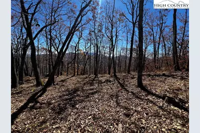 Lot 2 Chappell Farm Road, Banner Elk, NC 28604 - Photo 11