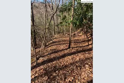 Tba Park Vista Road, West Jefferson, NC 28694 - Photo 9