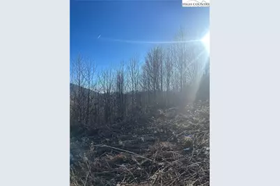 8173 Old US Highway 421, Zionville, NC 28698 - Photo 13