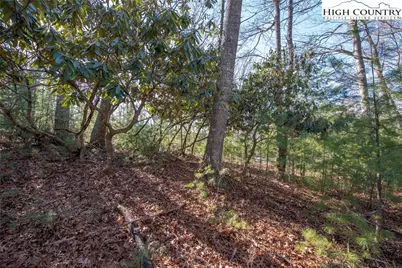 Tbd Prime Circle, Piney Creek, NC 28663 - Photo 5