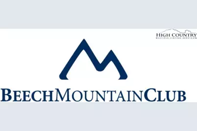 Tbd Staghorn Hollow, Beech Mountain, NC 28604 - Photo 5
