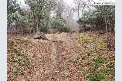 Tbd Staghorn Hollow, Beech Mountain, NC 28604 - Photo 1