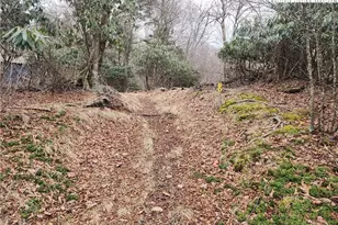 Tbd Staghorn Hollow, Beech Mountain, NC 28604 - Photo 1