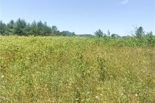 Lot #11 Thunder Ridge, Laurel Springs, NC 28644 - Photo 1