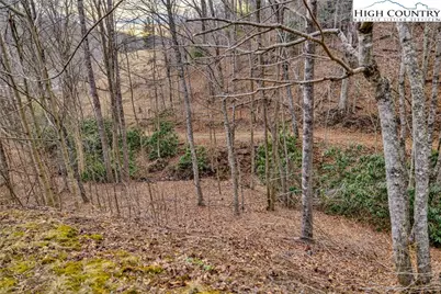 157 Noah's Ridge, Fleetwood, NC 28626 - Photo 49